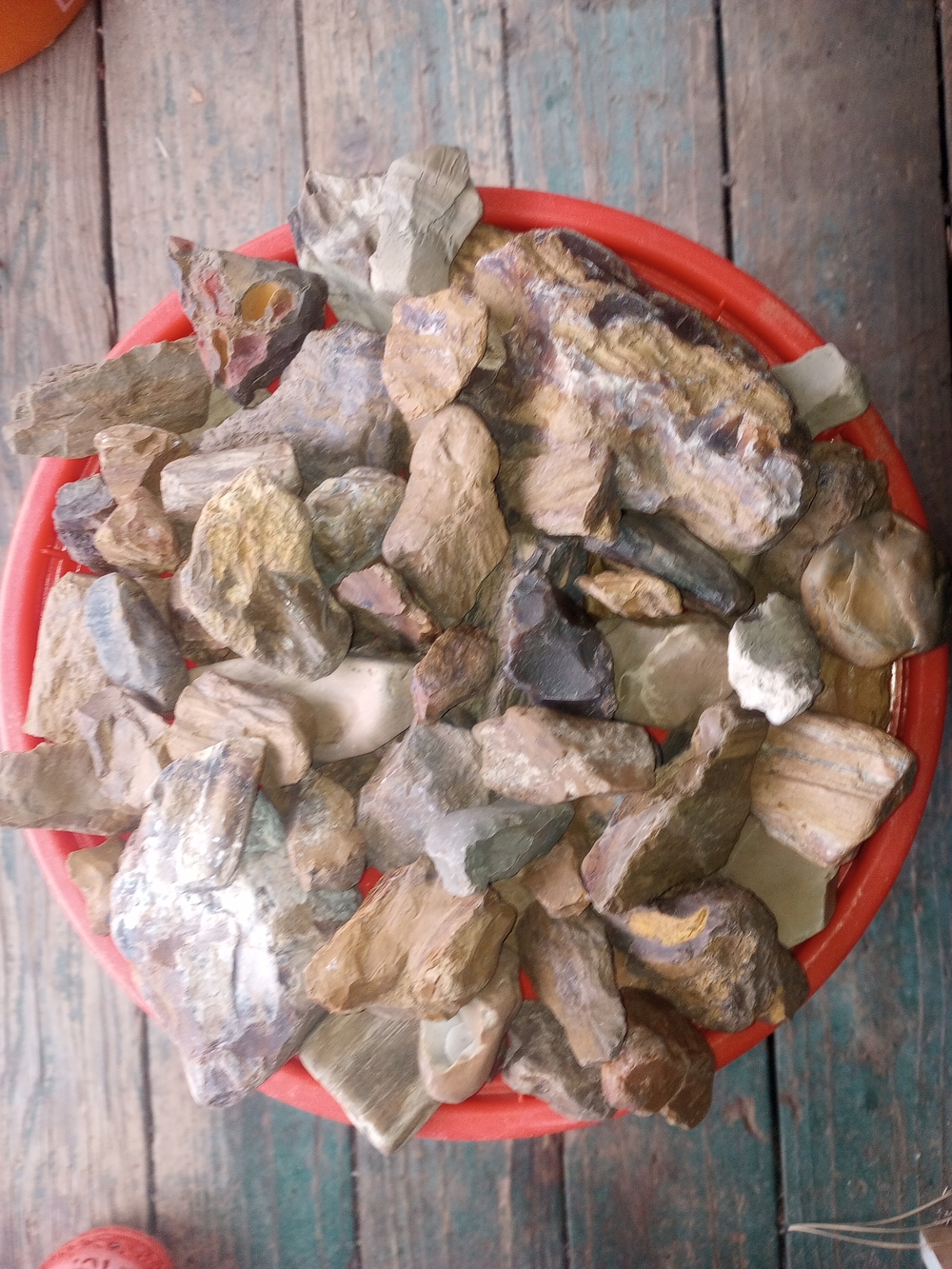 Raw Petrified Wood And Agate 1lb